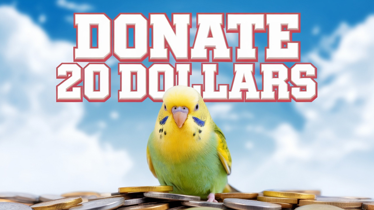 I would love you all to donate