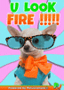 Comment image