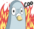 Comment image